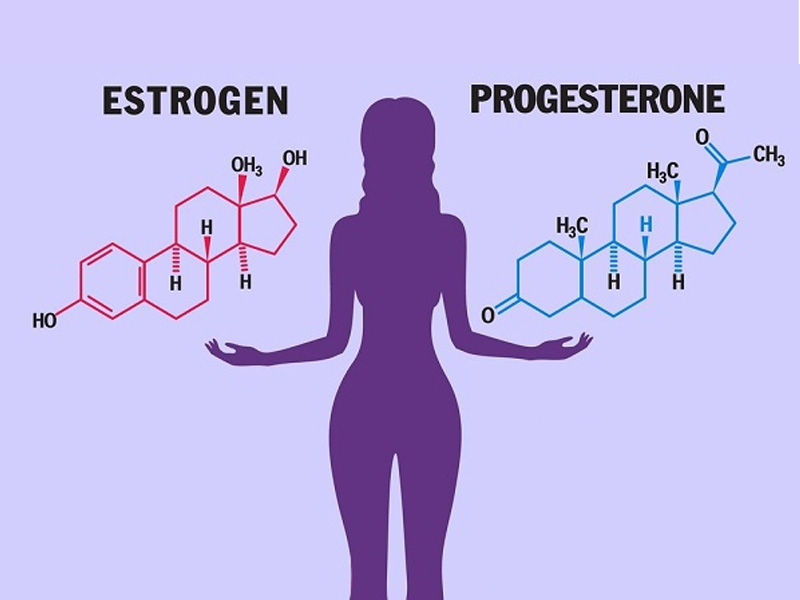 Estrogen và Progesterone