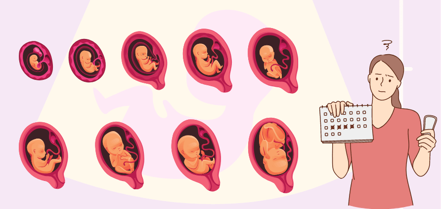 Thai IVF 6 Tuần Đến 8 Tuần Bị Ra Máu Có Nguy Hiểm Không