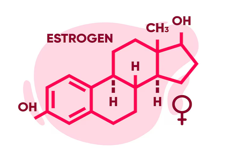 hormone nữ