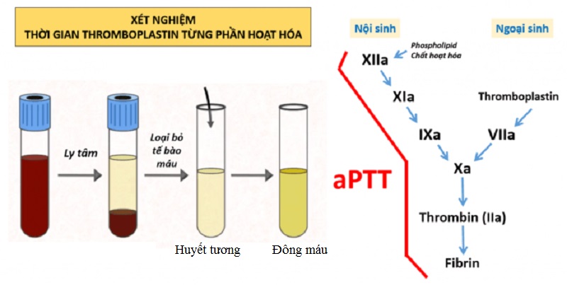 Bệnh đông máu có chữa khỏi không