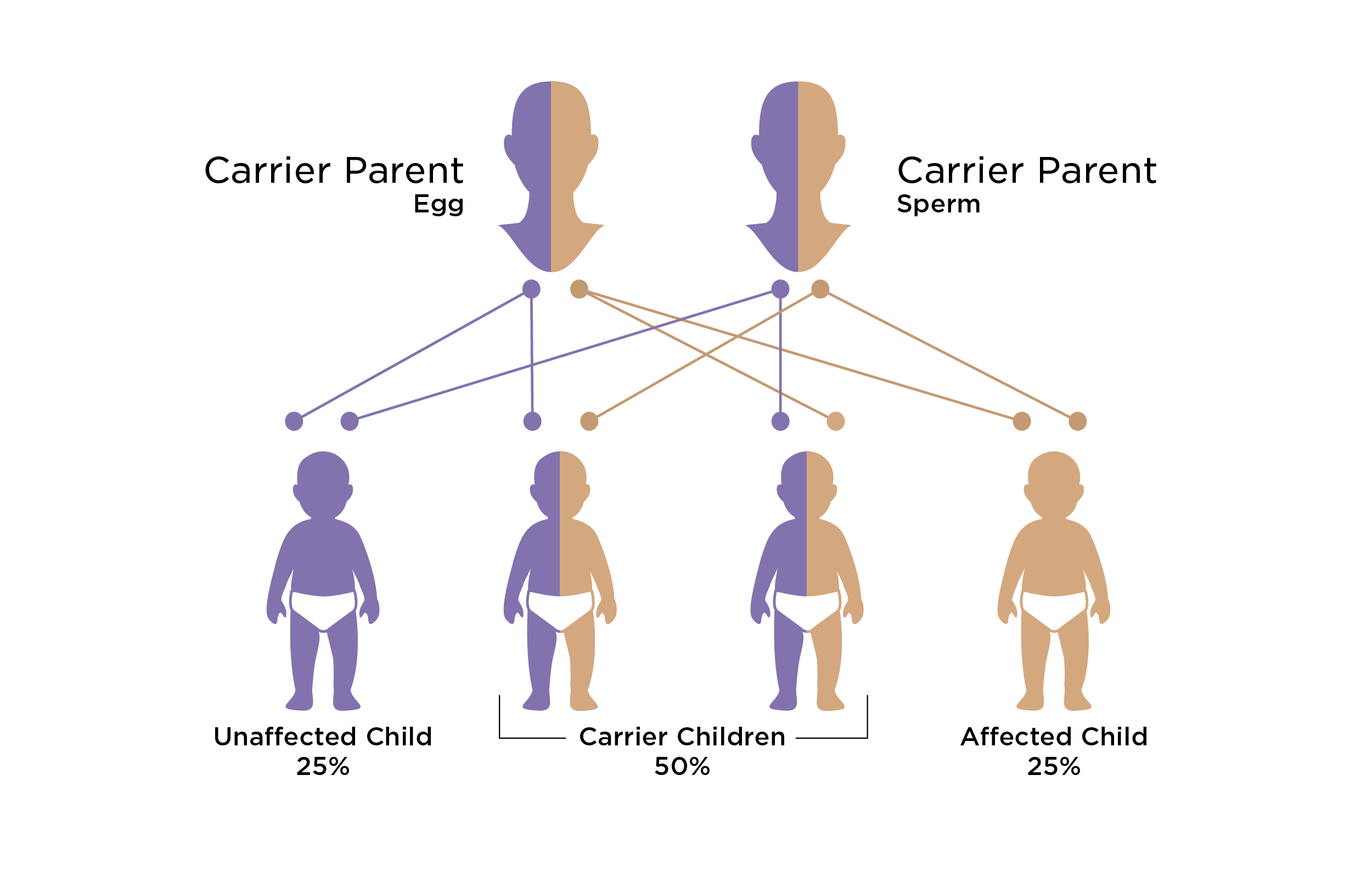 Carrier Screening