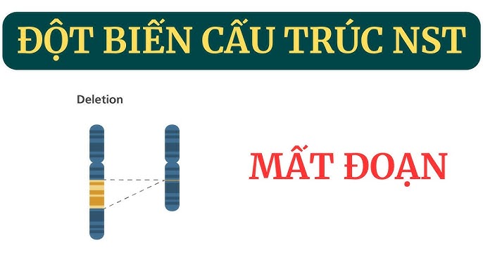 Đột biến mất đoạn