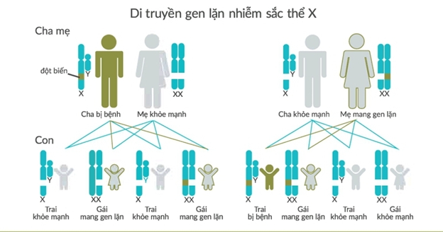 bệnh gen lặn