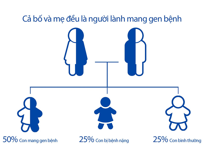 gen di truyền từ bố mẹ sang con