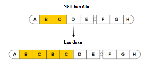 lặp đoạn NST