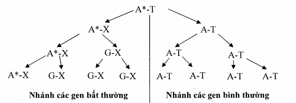 thai nhi bị bất thường nhiễm sắc thể
