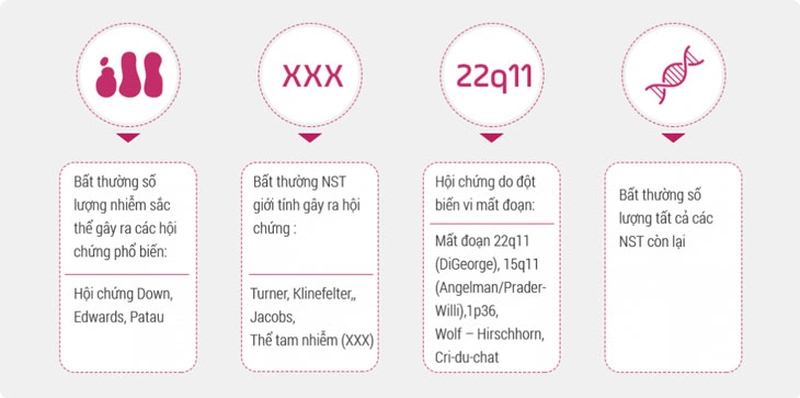 xét nghiệm NIPT cho biết những gì