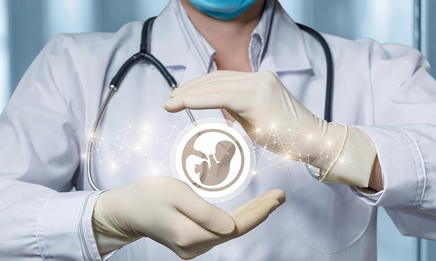 Bảo Tồn Sinh Sản