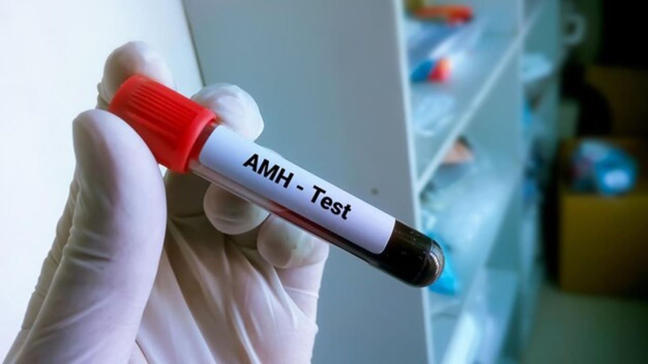 Biểu hiện của AMH thấp
