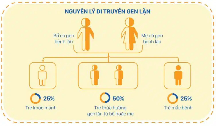 Vợ chồng trùng gen thì có được kết hôn không