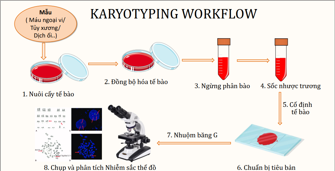 Xét nghiệm Karyotype