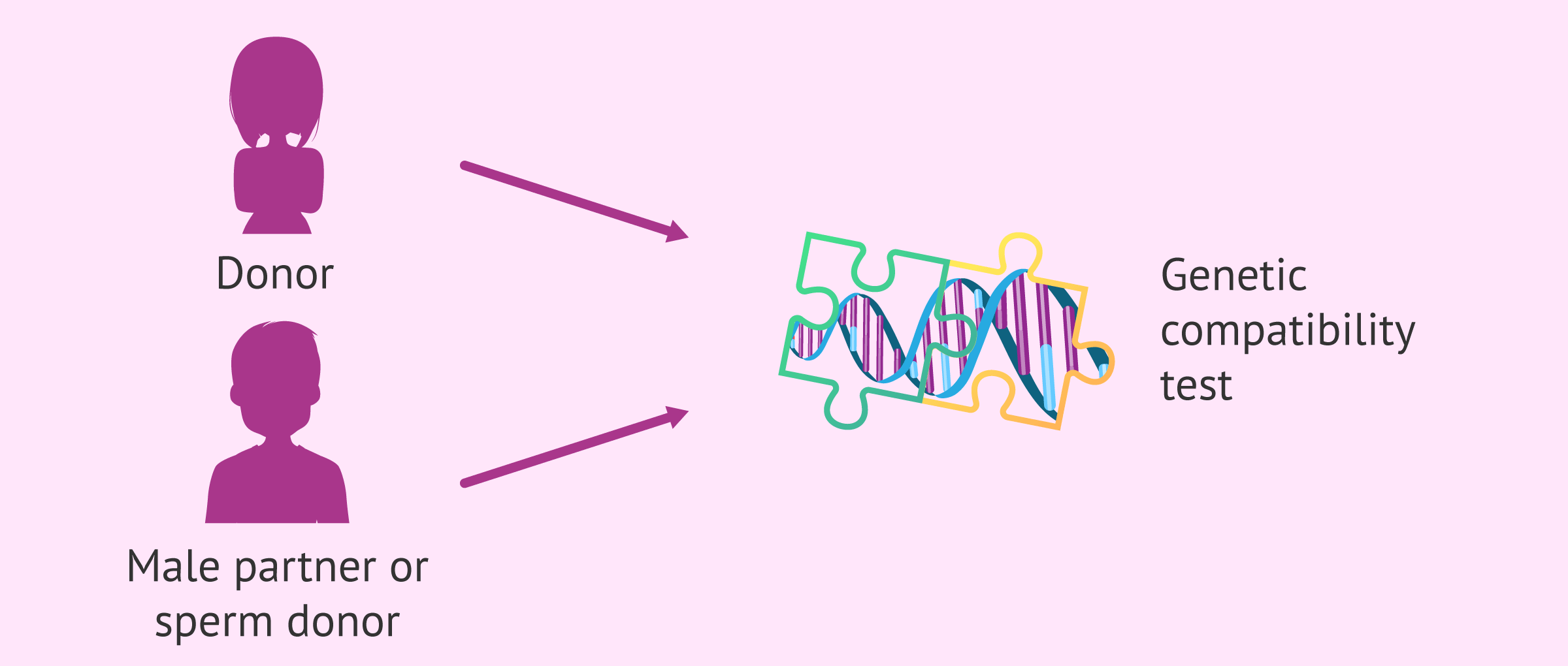 Xét nghiệm trùng gen Genetic Matching