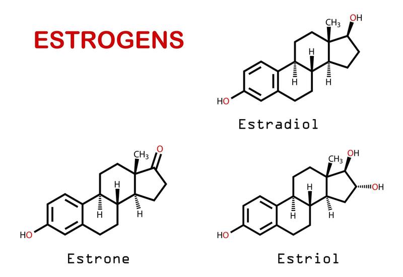 nội tiết tố estrogen