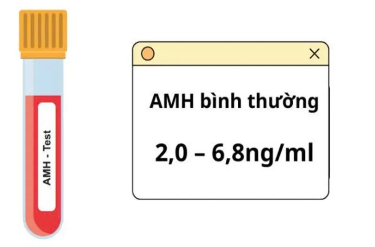 Dấu hiệu suy buồng trứng sớm (POF)