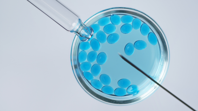 ICSI trong IVF