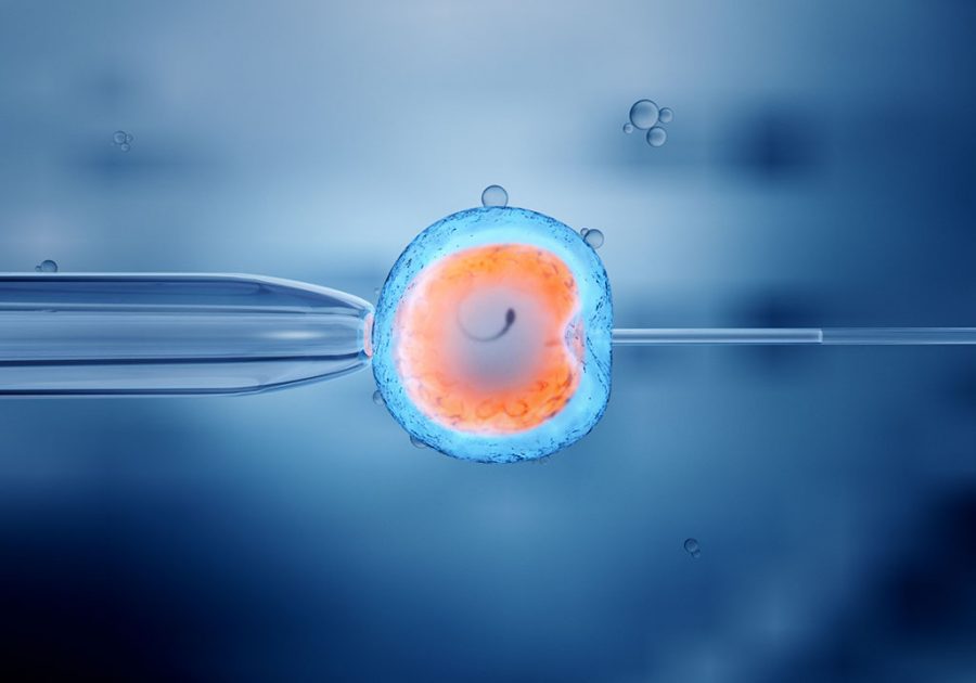 IVF Mini có sàng lọc được không