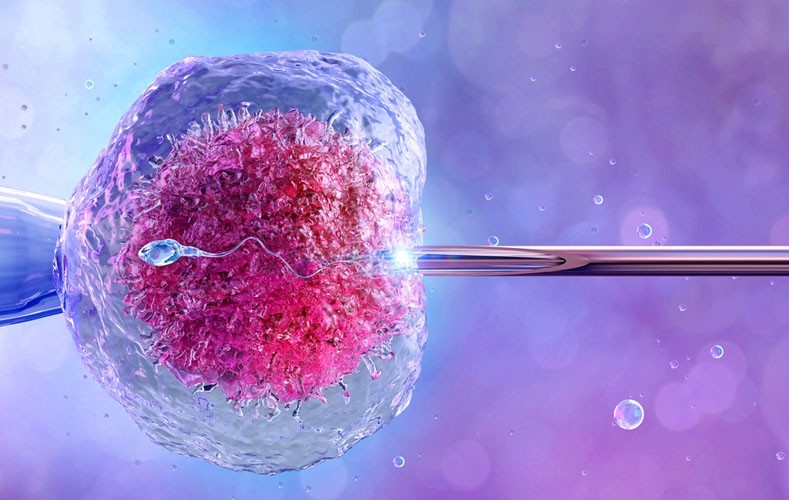 IVF mini khác gì IVF thường