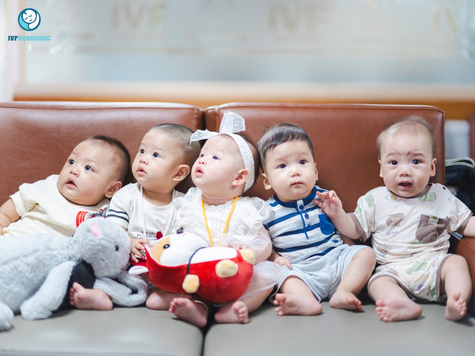 IVF sinh đôi