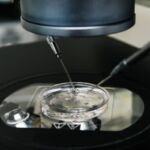 So Sánh IVM Và IVF: Phương Pháp Nào Phù Hợp Với Bạn?