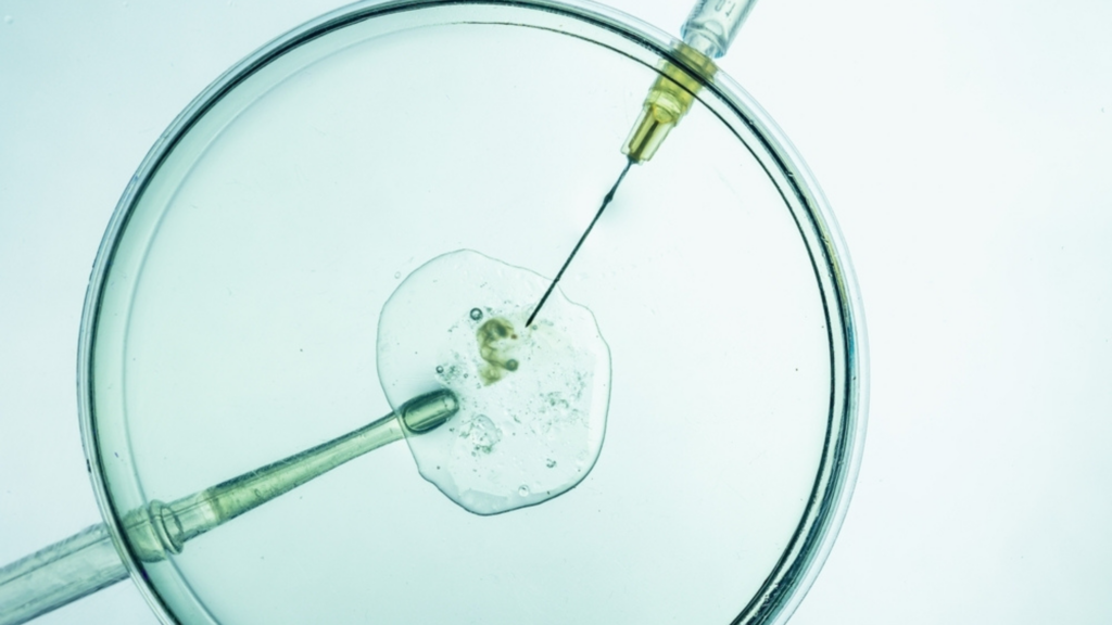 Mini IVF và IVF khác nhau như thế nào