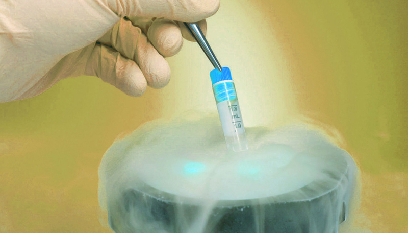 Phôi trữ đông được bao lâu