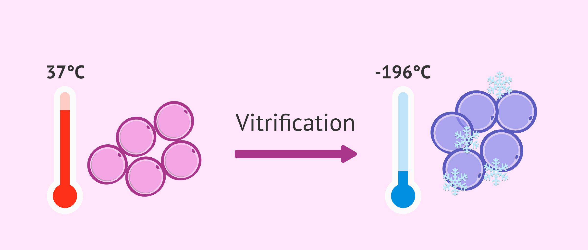 công nghệ thủy tinh hóa (Vitrification) siêu nhanh