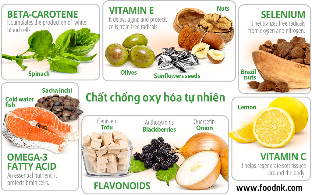 thực đơn giàu chất chống oxy hóa
