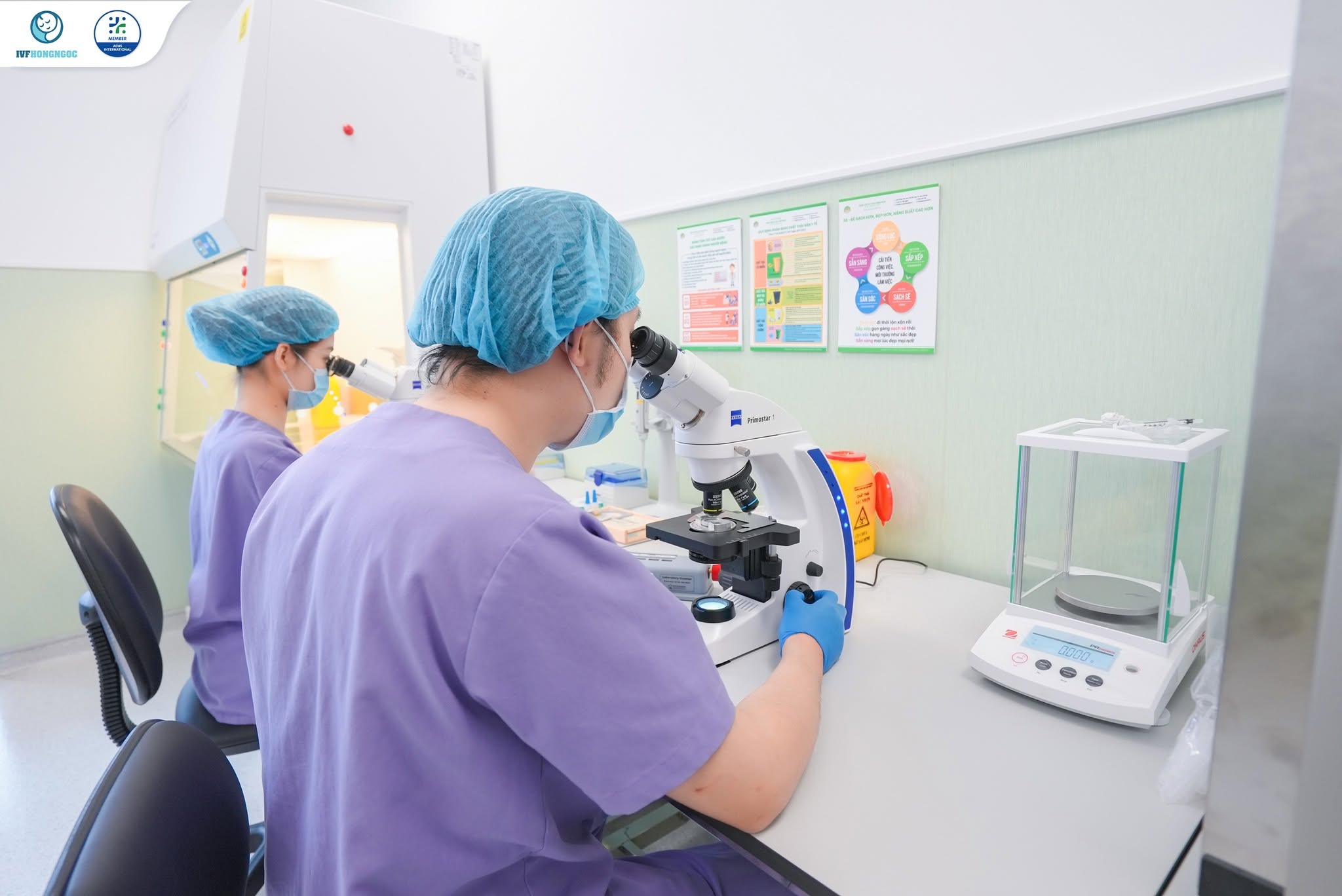 Quy trình làm IVF bệnh viện Hồng Ngọc