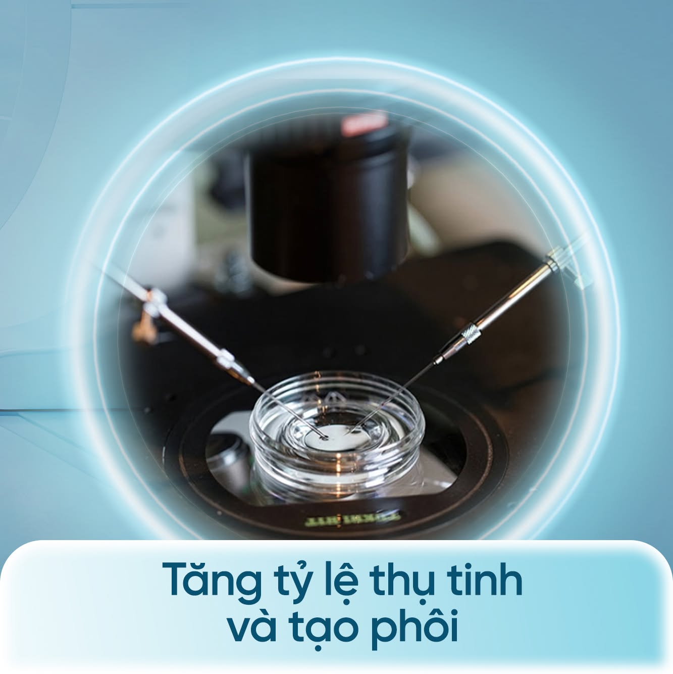 Tiêm tinh trùng vào bào tương noãn