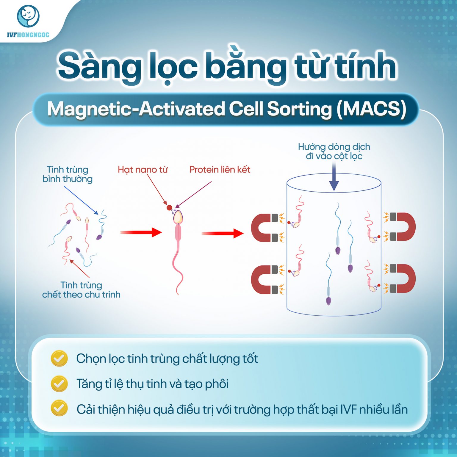 phương pháp MACS